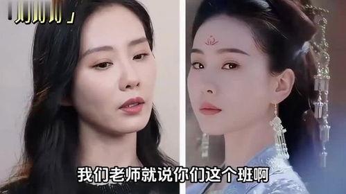 明星和演员的区别,身份差异与职业定位的深度解析